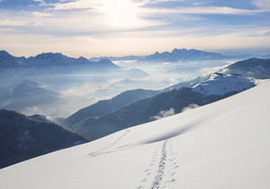 千川涨粉24小时下单软件,直播间挂假观众免费,快手网红商城自助
