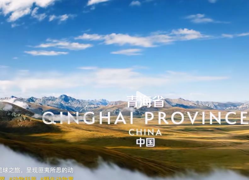 微博刷粉神器_抖音粉丝增长_24小时自助下单平台