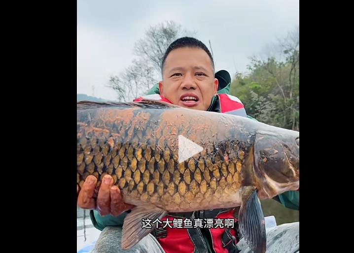 抖音24小时极速下单平台，自助下单服务