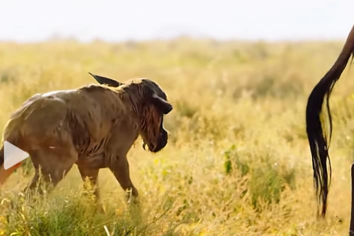 王者荣耀-从游戏娱乐到财富密码-全新赚钱项目