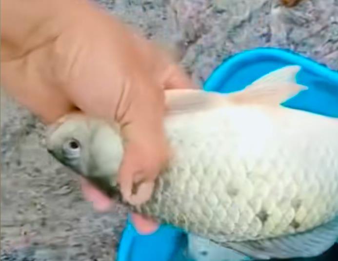 在家里摆摊赚钱-拍案叫绝-创业新项目