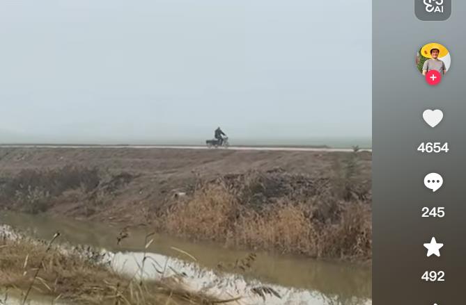 解锁闲鱼高回报：咸鱼币倒卖赚钱攻略-全新赚钱项目