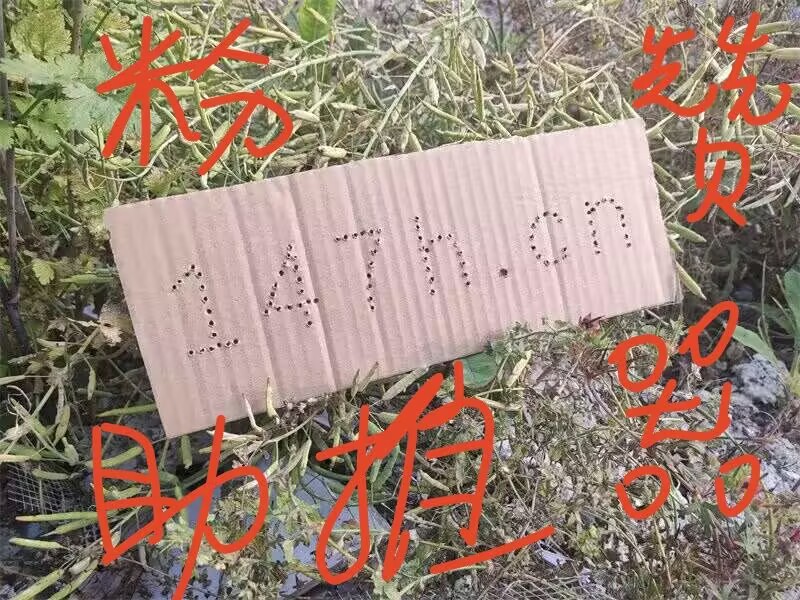 抖音刷赞自助下单-dy刷赞网站 - 0.1元一百赞平台抖音刷播放评论网址