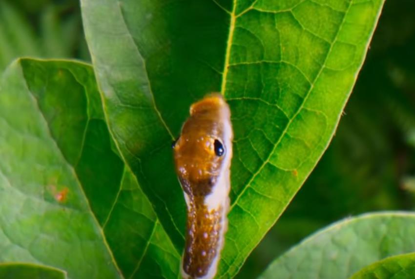 机票改签骗局全过程-10个人有9个会上当