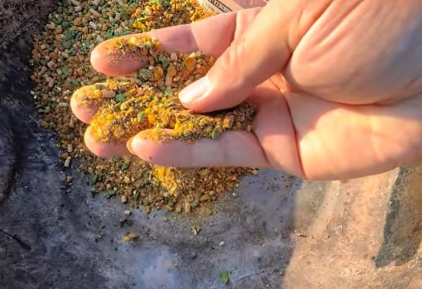 学生放寒假,这个骗术要格外小心