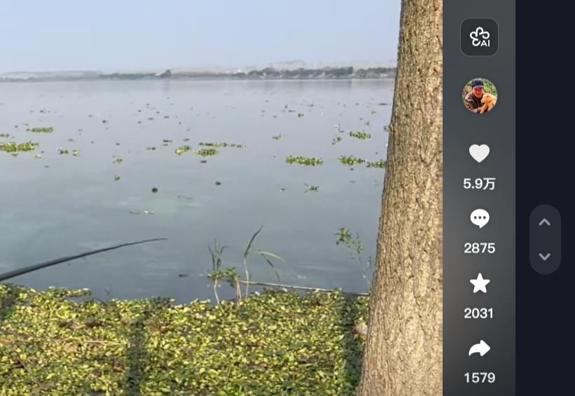 揭秘抖音涨粉秘籍：不买粉，也能轻松成为网红达人