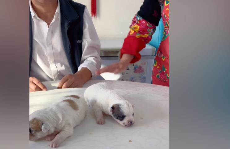 快手热门速成秘诀刷赞-这些技巧让你的点赞量暴增