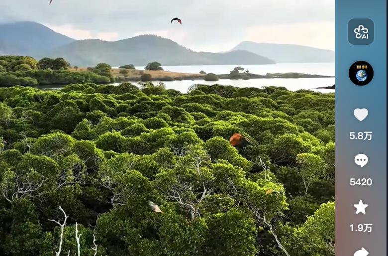 小红书可以刷粉丝吗-自助加粉加赞平台