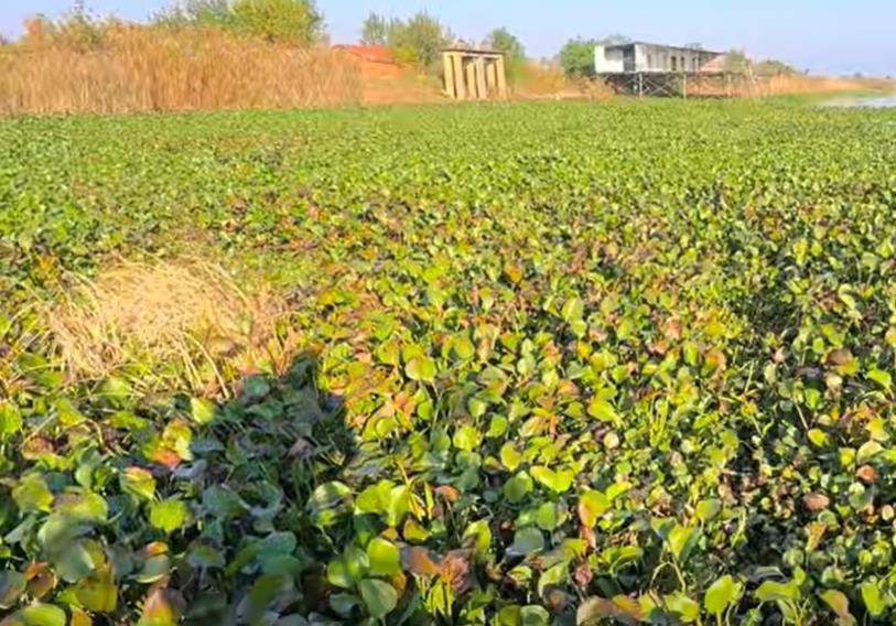 寒假骗局警示:初中生为游戏装备,母亲11万积蓄瞬间清零!